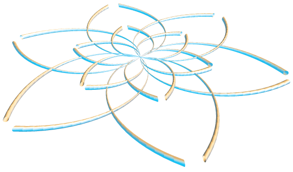 image of snowflake produced by the program
